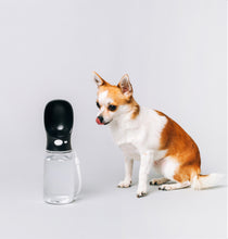 Load image into Gallery viewer, Thirsty Portable Bottle for Dogs
