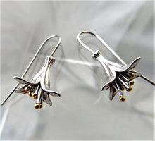 Load image into Gallery viewer, Stirling Silver New Zealand Earrings
