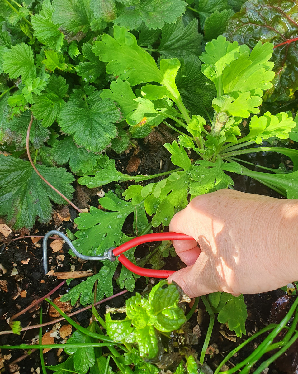 Wonder Weeder – The Garden Party